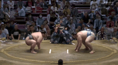 Bushozan's Fighting Style 2