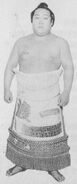 Ichiwatari poses with his kesho-mawashi