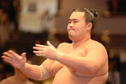 Kotomisen 2008