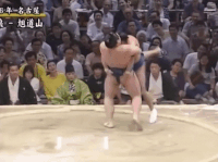 Takanonami's Fighting Style
