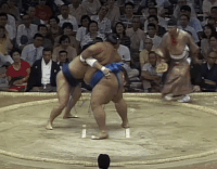 Tochinowaka's Fighting Style2