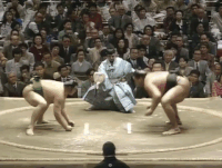 Akebono's Fighting Style