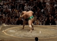 Ganyu's Fighting Style