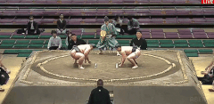 Kyokumizuno's Fighting Style
