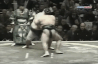 Oikari's Fighting Style