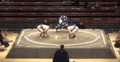 Burinosato's Fighting Style