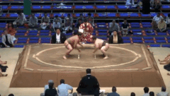 Ota's Fighting Style
