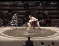 Tochitsubasa's Fighting Style