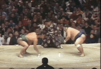 Kotokaze's Fighting Style