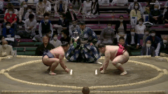 Atamifuji's Fighting Style 2
