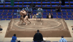 Kasugaryu's Fighting Style