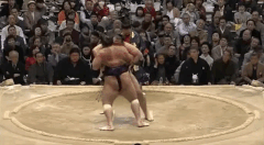 Kotooshu Fighting Style