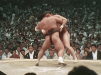 Shishiho's Fighting Style 2
