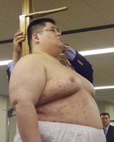 Sumo Wrestling, Yamamotoyama Ryūta a.k.a. Yama. He is the h…