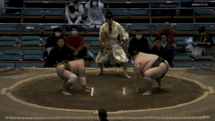 Akinoyama's Fighting Style