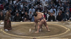 Roga's Fighting Style 3