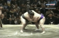 Akinoshima's Fighting Style