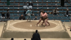 Hokutoo's Fighting Style