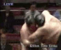 Kaido's Fighting Style