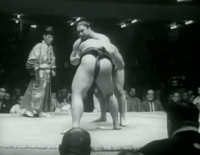 Sadanoyama's Fighting Style