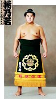 Tochinowaka Michihiro - 2011 (Retrieved from the JSA)