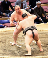 Sagatsukasa battles Hakuyozan (c. 2019)
