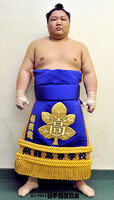 Tochihiryu Yukiya - 2013 (Retrieved from the JSA)