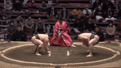 Akiseyama defeats  by yorikiri (force out)