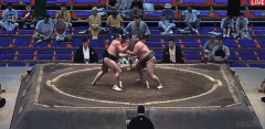 Hagane's Fighting Style