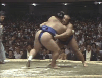 Hoo's Fighting Style 2