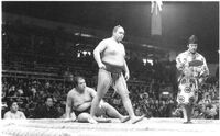 Muryu defeats amateur champion Kotohanada (c. 1979)