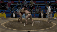 Sasakiyama's Fighting Style 2