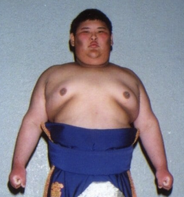 Wakazakura-main