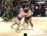 Daikiko's Fighting Style