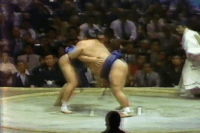Kitanoumi's Fighting Style