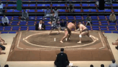 Hienriki's Fighting Style