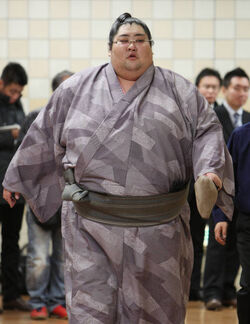 Sumo Wrestling, Yamamotoyama Ryūta a.k.a. Yama. He is the h…