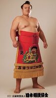 Ikioi Shota - 2017 (Retrieved from the JSA)