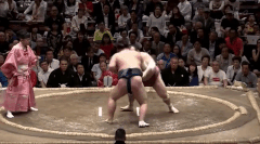 Ikioi Fighting Style