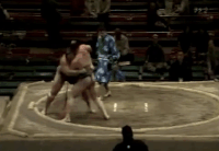 Kaishin's Fighting Style