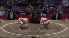Kotokuzan's Fighting Style 2