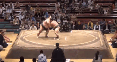 Musashiumi's Fighting Style