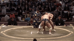 Terunofuji's Fighting Style