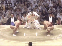 Chiyotaikai's Fighting Style