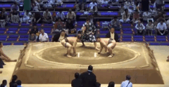 Mitoyutaka's Fighting Style