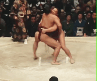 Owashi's Fighting Style