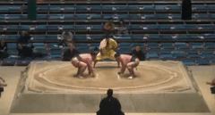 Kihakuriki's Fighting Style