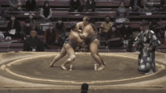 Genki's Fighting Style