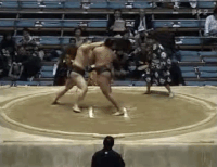 Minaminoshima's Fighting Style