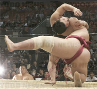 Satoyama defeats Ryuho by Tsutaezori (c. 2006)